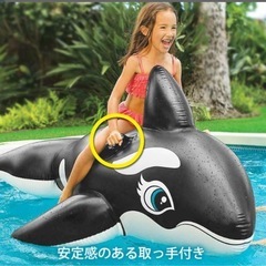 シャチ　浮き輪