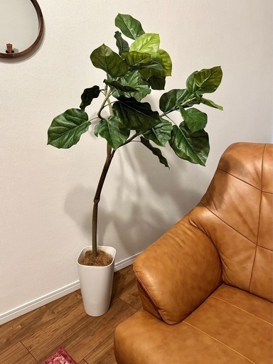 フェイクグリーン/造花/観葉植物/ウンベラータ/フィカス