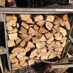 薪作り体験教室　山で伐採体験　の画像