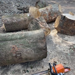 薪作り体験教室　山で伐採体験　の画像