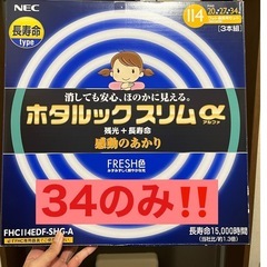 NEC  ホタルックスリム 34形のみ！   