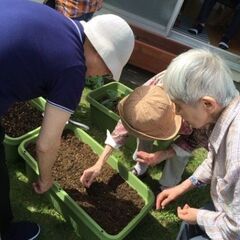 週3日〜/3hOK！未経験OK！ブランク歓迎◎10名定員の落ち着いた施設で看護職の画像