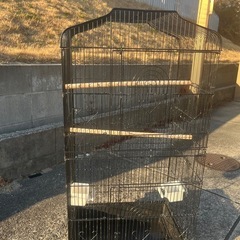 鳥かご