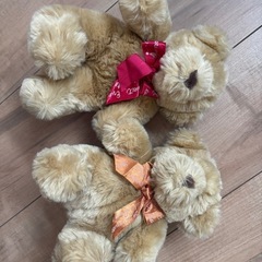 テディベア　２つの画像