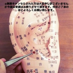 3月末で終了🙌耳つぼ講座レッスン⭐️25000円