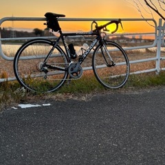 🚴一緒にサイクリング・ポタリング連れてってくれる人いませんか？ - 八千代市