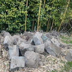庭石などにいかかですか