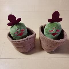 🌵ブルブルサボテン🌵