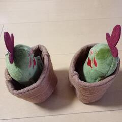 🌵ブルブルサボテン🌵の画像