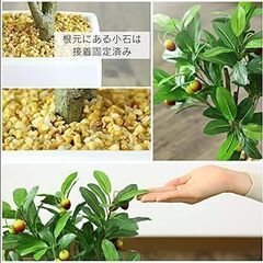 どれでも1つ¥500 人口観葉植物 フェイクグリーン 造花 光触媒 インテリア 訳あり B品 アウトレット品の画像