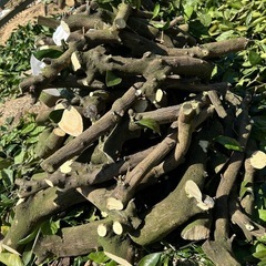 【決まりました】薪・焚き物