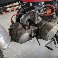 Ｚ５０Jゴリラ、モンキー、ジャンク扱いの画像