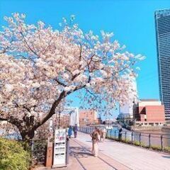 35～55才 神奈川散歩♪ ～1人参加～【横浜】💖