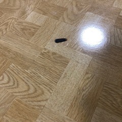 テーブルの画像