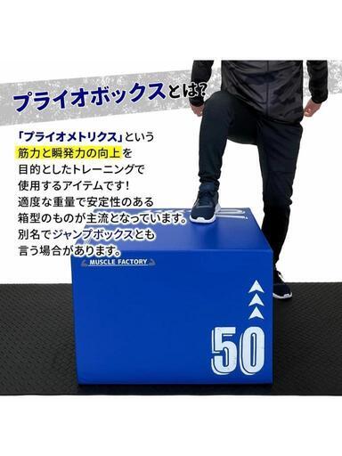 プライオボックス 50×60×70cm 未使用品 (はやし) 谷町六丁目の