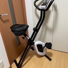 TIGORA (ティゴラ) フィットネスバイク スポーツ フィッ...