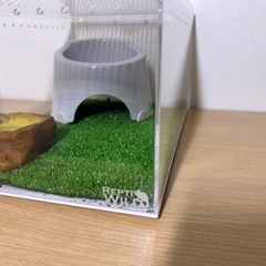お取引き中【美品】🦎レオパ　ケージ