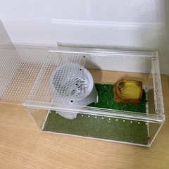 お取引き中【美品】🦎レオパ　ケージの画像