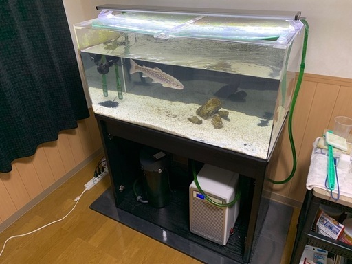 90cm水槽　飼育1式セット