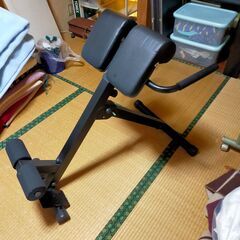 運動器具　バックエクステンション　背筋