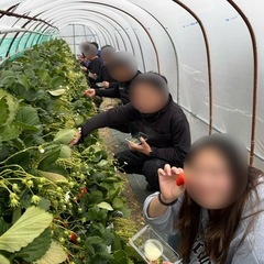 3/2（日）昔、貴族が好んで鑑賞した梅の花。上品に、そして高潔に！春の訪れ梅花見ツーリング！ - メンバー募集
