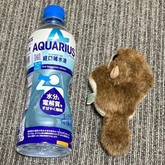 NATURE LAND ALFA ★ モモンガ　ぬいぐるみ　希少の画像