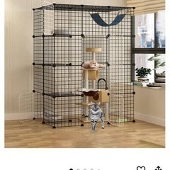 キャット　ゲージの画像