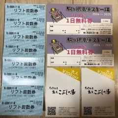 駒ヶ根高原スキー場リフト券など
