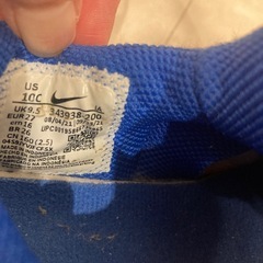 お値下げしました！NIKEダイナモフリー16センチの画像