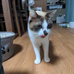 かなりの甘えん坊