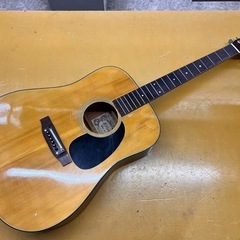 エリート アコースティック ギター アコギ 弦楽器 音楽 軽音 ...