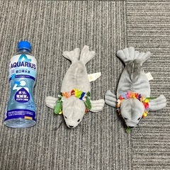 HAWAIIAN COLLECTIBLES ★ アザラシ　ぬいぐるみセット　希少の画像