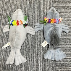 HAWAIIAN COLLECTIBLES ★ アザラシ　ぬいぐるみセット　希少の画像