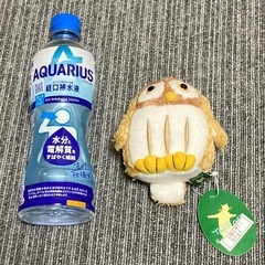 【新品・タグ付き】TAKE OFF ★ ミミズク　ぬいぐるみ　人気の画像