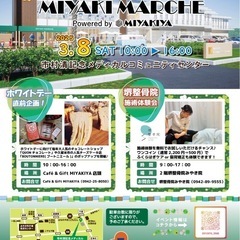 イケメン茶とら君 - 猫
