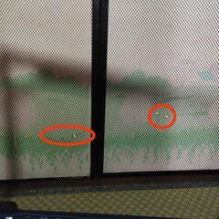 洗えるベビーサークルの画像