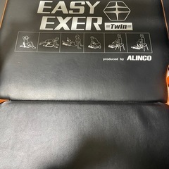 ALINCO イージーエクサツインの画像