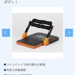 ALINCO イージーエクサツインの画像