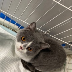 お話し中〜一歳の男の子〜