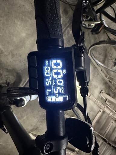 ERWAY A-01 lite 折りたたみ電動自転車 グレー