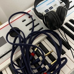 Roland ローランド / JUNO-DS61【ロゴ入りソフトケース付】の画像