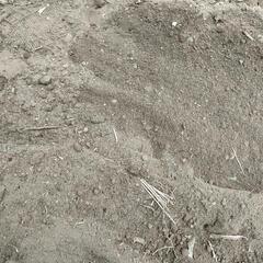 残土　差し上げますの画像