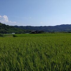 副業、ダブルワークの畑、田んぼ作り！！ - メンバー募集
