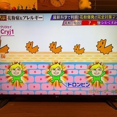 49インチ　薄型テレビ　