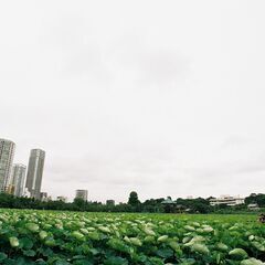 ２日間で短編映画を作りましょう