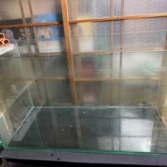 90センチ水槽