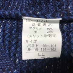 キラキラしてるセーターＬＬの画像