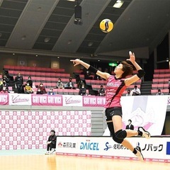 🏐🏐一緒に楽しくバレーボールしませんか？🏐🏐 - 高崎市