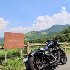【最終値下げ‼️】ハーレーダビッドソン スポーツスターXL883Nの画像
