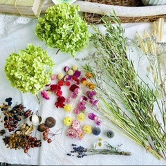 ドライフラワーいろいろ　花瓶にいれたりカゴに盛ってみたりの画像